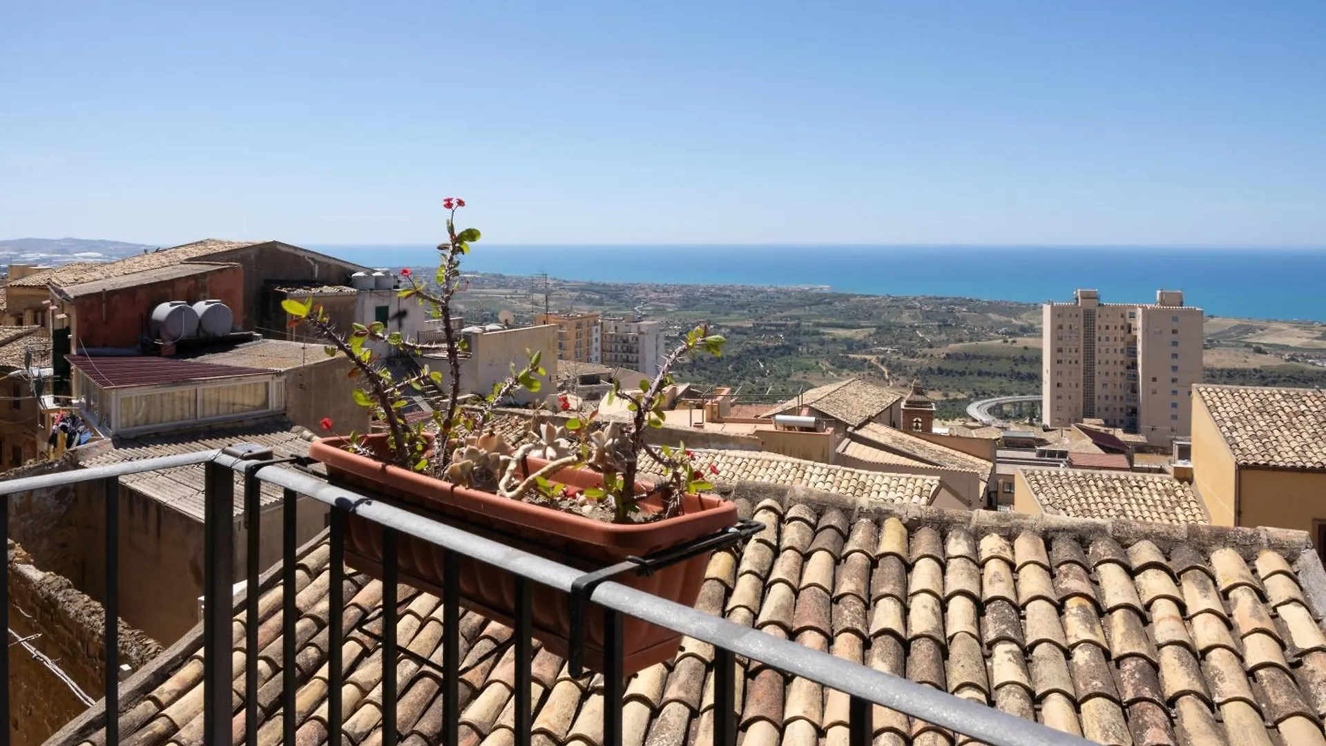 Le Teste Di Moro Al Duomo Agrigento